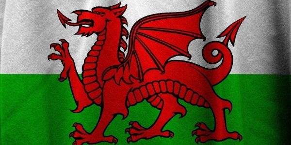 We're lucky enough to have some amazing welsh supporting artistes on our book